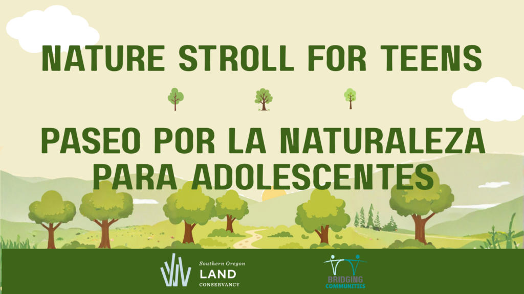 Nature Stroll For Teens